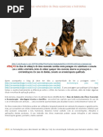 Uso Veterinário de Óleos Essenciais e Hidrolatos