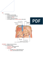 Transcrição Slides - Rins, Suprarrenais, Bexiga, Musculos Parede Posterior - PROVA 2