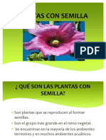 Plantasconsemilla 161106204037 PDF