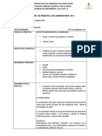 Formato de Informe de Práctica