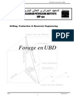 Forage en UBD