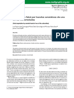 Bridas Amnioticas PDF