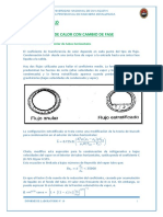 Informe N 10 de Fen2