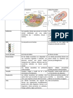 Cuadro Comparativo de Células Eucariotas y Procariotas