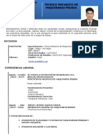 CV Bravo Apolinario PDF