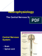 Neurophysiology: The Central Nervous System