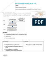 Semiologia y Fisiopatología de La Tos