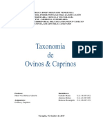 Taxonomía de Ovinos&Caprinos