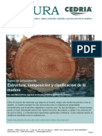 Estructura Composicion y Clasificacion de La Madera