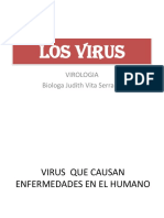 Virus Completo