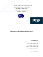 Crecimiento Del Macizo Craneofacial