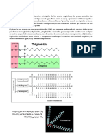 Hidrolisis de Trigliceridos
