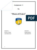 "Phases of Project": Assignment - 1