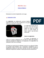 PRÁCTICA No6 Trigliceridos