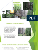 Ecología Forestal 1