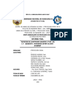 Informe Final de Proyeccion Social