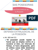 Defensas Posesorias