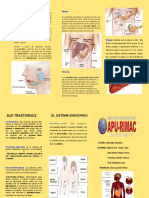 TRIPTICO Oseo PDF