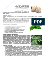 Plantas Medicinales 