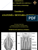 Leccion 4. Anatomia Dentaria Interna PDF