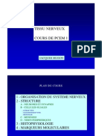 Cours Neurohisto PCEM1 2006-2007