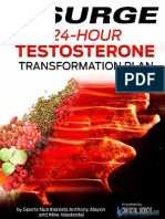 24 Hour Testosterone Transformation Fix PDF