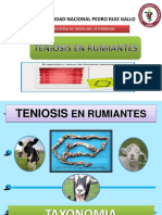 Teniosis en Rumiantes