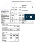 Bilan Financier Ex