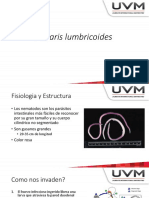 Ascaris Lumbricoides (Microbiologia Medica (Murray) )