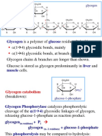 9 Glycogen