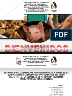 Presentación Proyecto Sociointegrador (Subproductos Del Cerdo-El Estero)