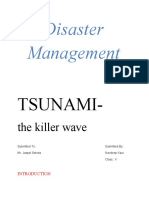 Disaster Management: Tsunami