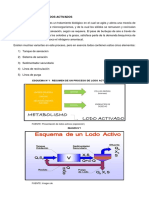 Informe Tratamiento Con Lodos Activos