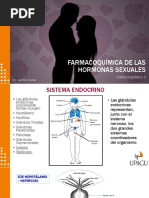 Farmacoquímica de Las Hormonas Sexuales