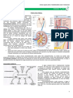 10 - Fisiologia Renal