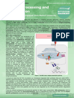 Antigen Processing and Presentation