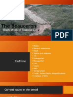 The Beauceron - Presentation Final