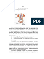 BAB 1 Retensi Urine