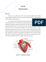 Ruptured Sinus Valsalva