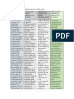 Cuadro Comparativo de Etnopsicologia - (Etnia Zenu)