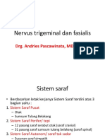 Saraf Trigeminal Dan Fasialis