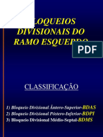 Bloqueios Divisionais Do Ramo Esquerdo