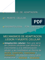 Adaptacion y Muerte Celular, Clase.