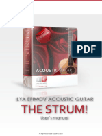 Ilya Efimov Acoustic Guitar Strum Manual PDF