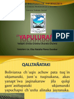 Yapuluraña Agricultura