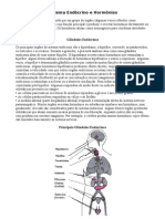 Sistema Endócrino e Hormônios