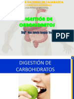 Digestion de Carbohidratos