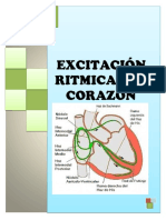 Excitacion Ritmica Del Corazon