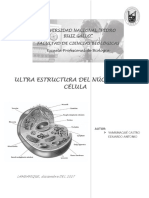 Nucleo Celular... La Monografía XD
