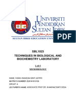 Lab Report 5 Microbiology